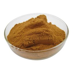Oyster Meat Extract Manufacturer - 100% Oyster Meat Powder Extract
