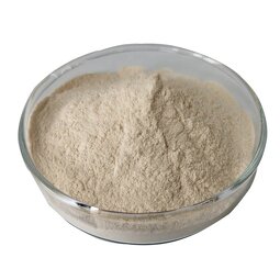 Oyster Peptide Supplier - 98% Oyster Extract Factory Sale