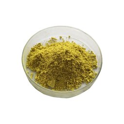 Quercetin Powder Factory - 98% Quercetin Sophora Japonica Extract