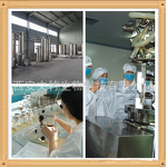 Orange Juice Concentrate Powder Factory - Factory Supply Organic Powder