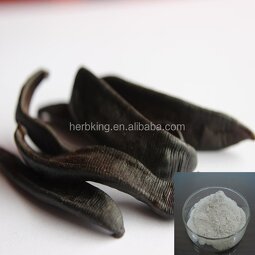 Hirudin Powder Manufacturer - High Quality Leech Extract Hirudo Extract