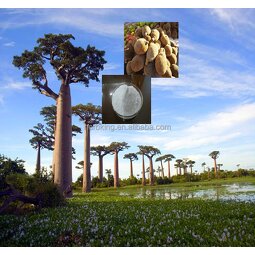 Baobab Extract Manufacturer - 100% Natural Monkey Bread Tree Vitamin C
