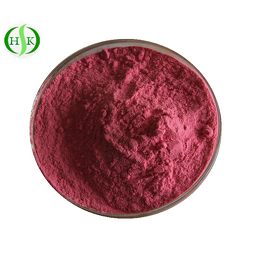 Vitamin B12 Powder Manufacturer - Vitamin B12 Cyanocobalamin CAS 68-19-9