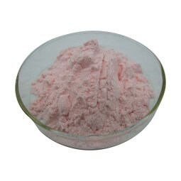 Acerola Cherry Powder Supplier - Organic Cherry Fruit Powder