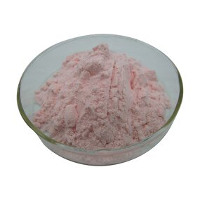 Acerola Cherry Powder Supplier - Organic Cherry Fruit Powder