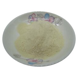 Gynostemma Extract Powder Supplier - Pentaphylla Gynostemma Gypenoside Powder