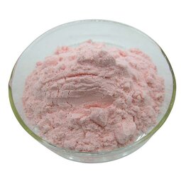 Acerola Cherry Powder Manufacturer - Factory Supply Hot Selling Cherry Powder
