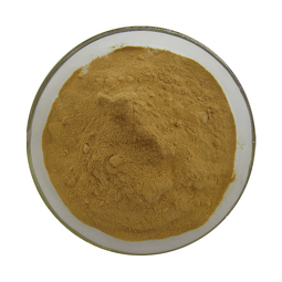 Atractylodes Extract Supplier - 10:1 Water Soluble Powder Factory Direct