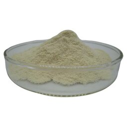 Apple Cider Vinegar Powder Supplier - Bulk Price Apple Polyphenol Extract