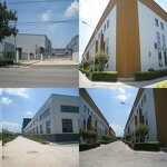 Atractylodes Extract Supplier - 10:1 Water Soluble Powder Factory Direct