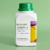 Biocomma有限