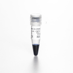 Biocomma 250微升彩色10-250kDa染色蛋白阶梯核酸电泳分析试剂