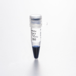 Biocomma 250微升彩色10-250kDa染色蛋白阶梯核酸电泳分析试剂