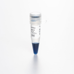 Biocomma宽分子量颜色250ul 2.6-40kDa预染色蛋白标记梯子