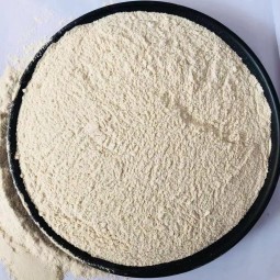 Calcium Hydrogen Phosphate Supplier - Wholesale Feed Grade Livestock Poultry 99%