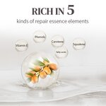 Hair Care Mist Manufacturer - Argan Oil Smooth Repair Dry Frizz Damaged Natural Organic