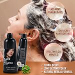 Black Color Shampoo Manufacturer - Custom Logo 3 in 1 Quick Coloring 100% Gray Coverage 60 Days