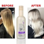 Purple Shampoo Manufacturer - Anti Yellow Bulk Private Label Platinum Blonde Daily for Blonde Hair