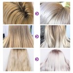 Purple Shampoo Manufacturer - Anti Yellow Bulk Private Label Platinum Blonde Daily for Blonde Hair
