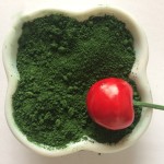 Chromic Oxide Powder Supplier - High Purity Cr2O3 Green CAS 1308-38-9