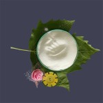 PVC Resin K67 Factory - Pipe Grade Paste PVC Resin Emulsion