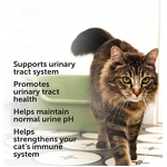 Cat Urinary Tract Chews Manufacturer - Wholesale Cranberry Health Support Supplements