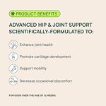 Dog Joint Health Chews Factory - OEM Natural Supplement with MSM for Mobility