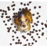 Multi Collagen Chews Supplier - OEM/ODM for Dogs Hip Joint Cartilage Skin