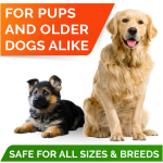 Omega 3 Fish Oil Capsules Factory - OEM/ODM EPA DHA for Dogs Joint Brain Heart