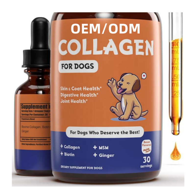 Pet Collagen Liquid Drops Supplier - OEM/ODM Skin Coat Joint Digestive Health