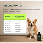 Salmon Oil for Dogs with Pump Factory - OEM Wild Salmon Omega 3 Joint Coat