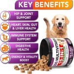Dog Multivitamin Chews Supplier - OEM/ODM Glucosamine Salmon Oil Soft Chews