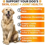 Dog Skin & Coat Chews Manufacturer - OEM Omega 3 DHA EPA Biotin Supplement