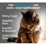 Cat Skin & Coat Chews Factory - OEM/ODM Omega Fatty Acids for Shiny Coat