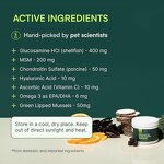 Dog Joint Health Chews Factory - OEM Natural Supplement with MSM for Mobility