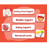 Cranberry for Dogs Chews Manufacturer - OEM/ODM Urinary Tract Bladder Support