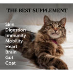 Cat Multivitamin Chews Supplier - Custom Omega 3 Lysine Joint Immune Support