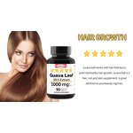 Soursop Leaf Extract Capsules Factory - Organic Graviola Leaf Healthcare