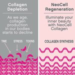 Collagen Peptide Tablets Manufacturer - with Vitamin C Biotin Tablets