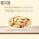 Astragalus Tablets Supplier - Wholesale Natural Dried High Quality Herbal
