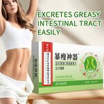 Intestinal Dietary Fiber Tablets Factory - OEM Fast Slimming with Probiotic Vc