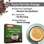 Green Coffee Meal Replacement Powder Manufacturer - Natural Slim Diet Weight Control