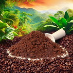 L-Carnitine Coffee Powder Manufacturer - Slimming Healthy Coffee Supplement