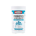 Probiotic Capsules Manufacturer - Digestive Gut Health Intestinal Flora Support