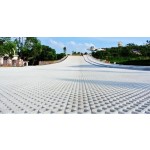 Plastic Artificial Ski Mat Supplier - 2023 Hot Selling 80x20cm Non-slip Dry