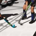 Synthetic Ice Skating Rink Manufacturer - Portable Indoor Hockey Board Tiles