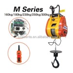 Electric Hoist Factory - 180KG 30m Hang Type High Speed Mini