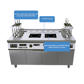Induction Cooker Supplier - 2-Burner Range Station Automatic Pasta Noodle Boiler