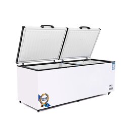 Deep Chest Freezer Supplier - High Quality Commercial Freezer