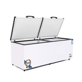 Deep Chest Freezer Supplier - High Quality Commercial Freezer